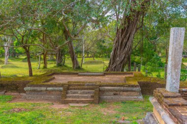 Anuradhapura, Sri Lanka 'da Ratnaprasada harabeleri.