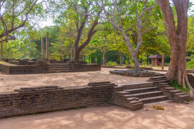 Anuradhapura, Sri Lanka 'da Ratnaprasada harabeleri.