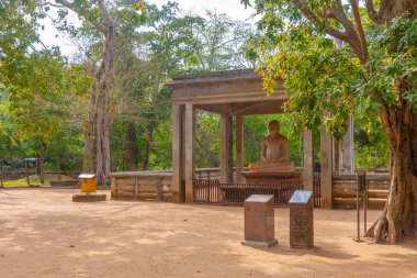 Sri Lanka Anuradhapura 'da Samadhi Buddha Heykeli.
