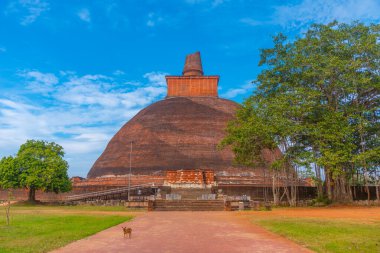 Sri Lanka Annuradhapura 'da Jetavanarama dagoba.