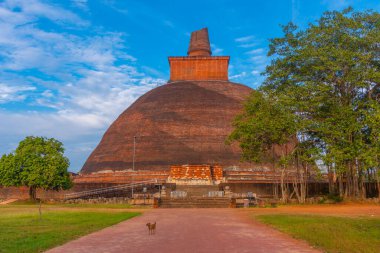 Sri Lanka Annuradhapura 'da Jetavanarama dagoba.