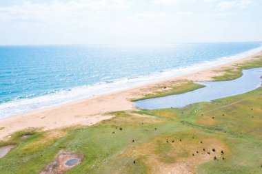 Sri Lanka 'daki Moorkkam plajının hava manzarası..