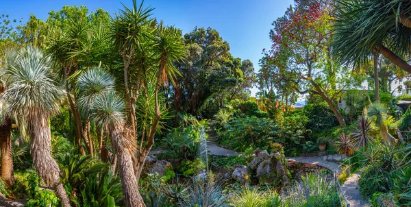 stock image View of the Giardini la Mortella gardens at Ischia, Italy.