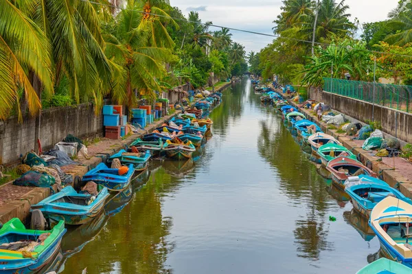 Negombo, Sri Lanka 'daki Hollanda kanalına demirleyen renkli tekneler.