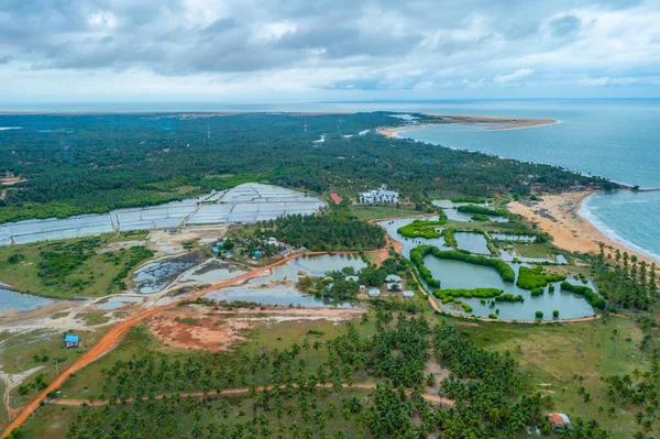 Flygfoto Över Jordbruksfält Förbises Vindkraftverk Kalpitiya Sri Lanka — Stockfoto