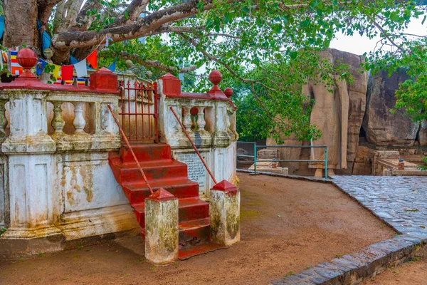 Sri Lanka Aukana Buddha Heykeli — Stok fotoğraf