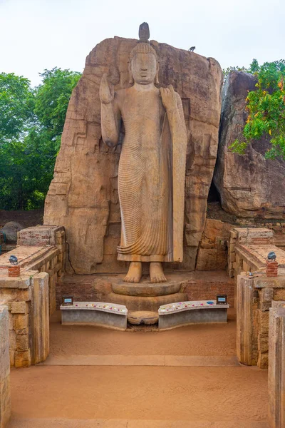 Aukana Boeddha Standbeeld Sri Lanka — Stockfoto