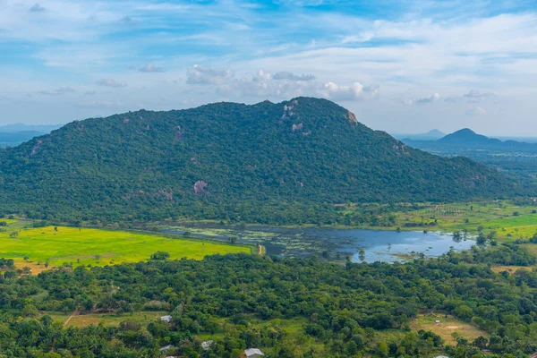 Вид Воздуха Зеленый Ландшафт Вблизи Горы Михайнтале Шри Ланке — стоковое фото
