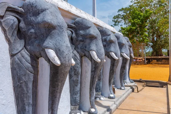 Статуи Слонов Ступе Руванвели Маха Сейя Построенной Анурадхапуре Шри Ланка — стоковое фото