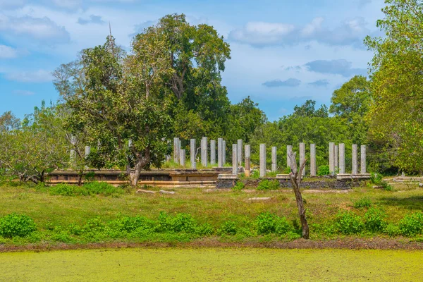 Ruines Palais Royal Anuradhapura Antique Sri Lanka — Photo