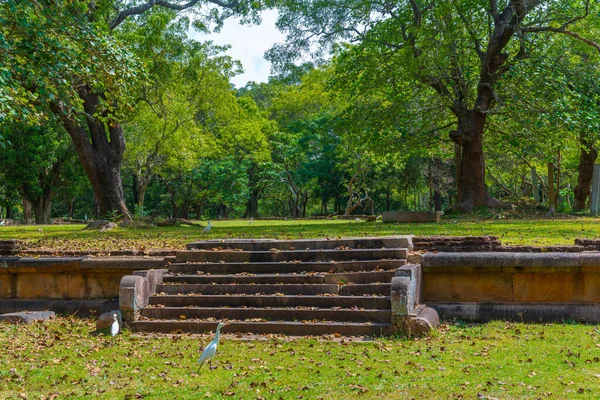 Ratnaprasada Ruínas Anuradhapura Sri Lanka — Fotografia de Stock