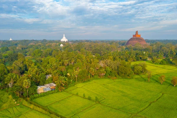 Vue Aérienne Ancien Site Annuradhapura Sri Lanka — Photo