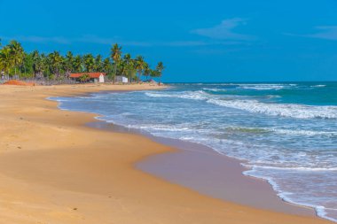 Sri Lanka 'daki Moorkkam plajı manzarası.