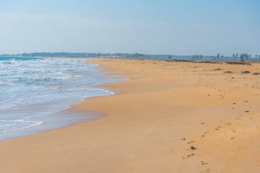Sri Lanka 'daki Moorkkam plajı manzarası.