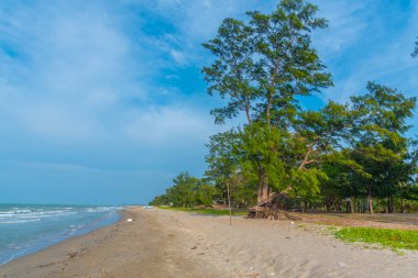 Jaffna, Sri Lanka yakınlarındaki Casuarina sahilinde gün batımı.