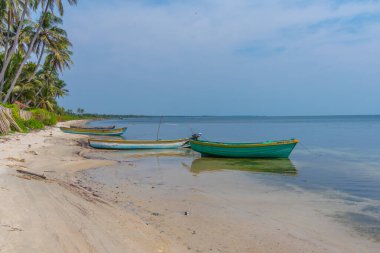 Jaffna yakınlarındaki Chaddy Plajı, Sri Lanka.