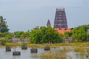 Sri Lanka 'daki Velanai adasında Mankumpan pillaiyar kovil.