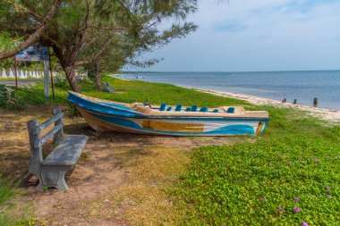 Jaffna yakınlarındaki Chaddy Plajı, Sri Lanka.