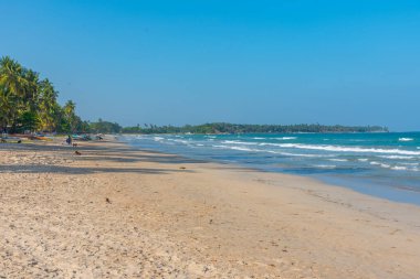 Trincomalee, Sri Lanka 'daki Uppuveli Plajı' nda güneşli bir gün.