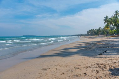 Trincomalee, Sri Lanka 'daki Uppuveli Plajı' nda güneşli bir gün.