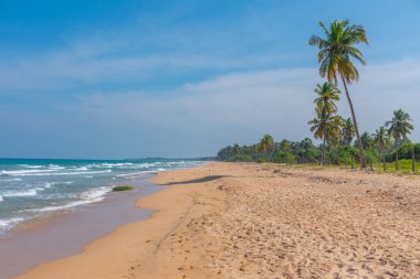 Sri Lanka 'daki Nilaveli plajında güneşli bir gün..
