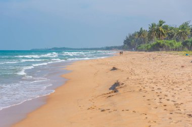 Sri Lanka 'daki Nilaveli plajının havadan görüntüsü.