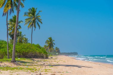 Sri Lanka 'daki Nilaveli plajında güneşli bir gün..