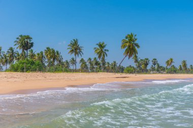 Sri Lanka 'daki Nilaveli plajında güneşli bir gün..
