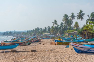 Trincomalee, Sri Lanka 'da balıkçı tekneleri.