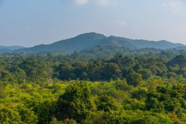 Sri Lanka 'daki Hurulu Eco Park' ın manzarası.