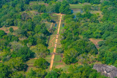 Sri Lanka 'daki Sigirya bahçelerinin havadan görünüşü.