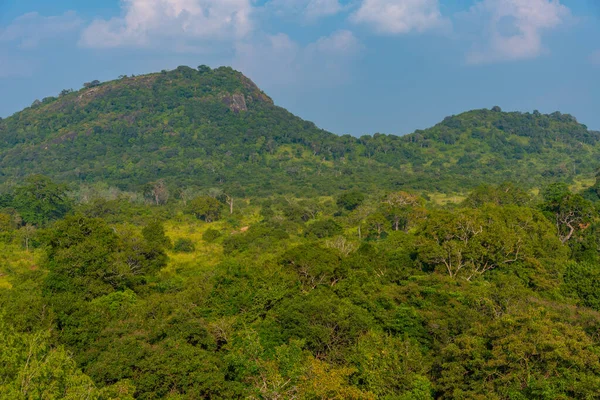Landscape of Hurulu Eco park in Sri Lanka.