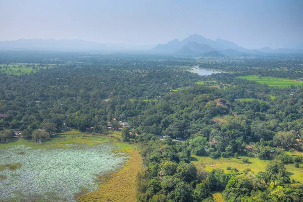 Вид Воздуха Окрестности Сигирии Шри Ланка — стоковое фото