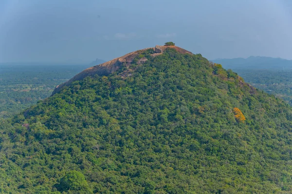 stock image Pidurangala rock near Sigiriya rock fortress, Sri Lanka.