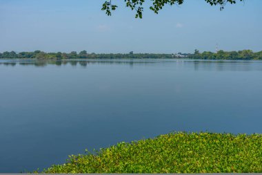 Polonnaruwa yakınlarındaki Topa Wewa Gölü, Sri Lanka.
