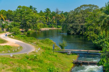Polonnaruwa yakınlarındaki Topa Wewa Gölü, Sri Lanka.