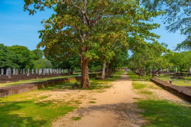 Polonnaruwa, Sri Lanka 'daki Antik Bhikku Hastanesi.