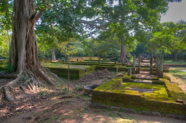 Sri Lanka 'daki Polonnaruwa Tapınağı.