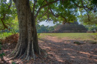 Sri Lanka 'daki Polonnaruwa' da Pabalu Vihara.