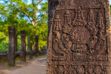 Polonnaruwa, Sri Lanka 'daki kraliyet sarayındaki belediye meclisinde oymalar.
