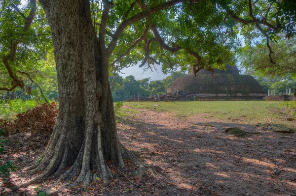 Pabalu Vihara Polonnaruwa Sri Lanka — Photo