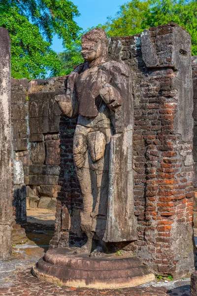 Standbeelden Bij Hatadage Vierhoek Van Polonnaruwa Ruïnes Sri Lanka — Stockfoto