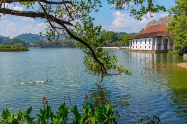 Kandy, Sri Lanka 'daki Kutsal Diş Kalıntısı Tapınağı.