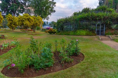 Kandy, Sri Lanka 'da Kraliyet Botanik Gardwen' i.