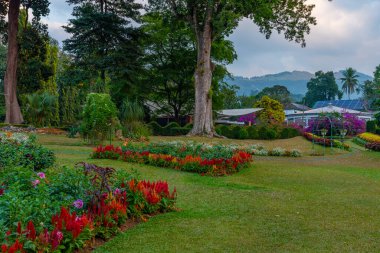 Kandy, Sri Lanka 'da Kraliyet Botanik Gardwen' i.