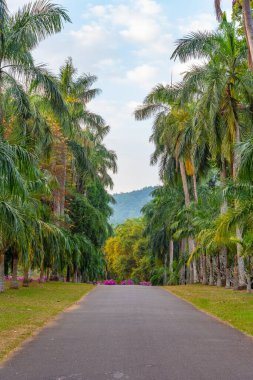 Kandy, Sri Lanka 'da Kraliyet Botanik Gardwen' i.