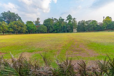 Kandy, Sri Lanka 'da Kraliyet Botanik Gardwen' i.