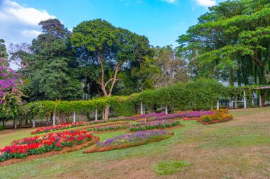 Kandy, Sri Lanka 'da Kraliyet Botanik Gardwen' i.