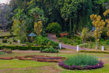 Kandy, Sri Lanka 'da Kraliyet Botanik Gardwen' i.
