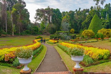 Kandy, Sri Lanka 'da Kraliyet Botanik Gardwen' i.
